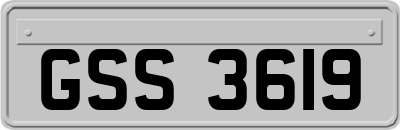 GSS3619