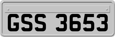 GSS3653