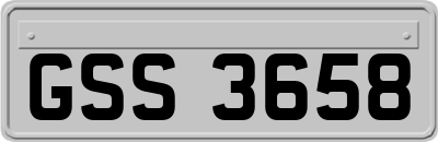 GSS3658
