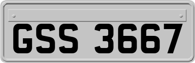 GSS3667