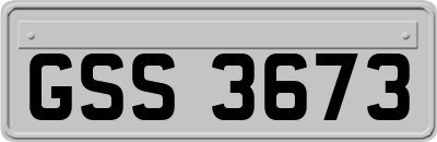 GSS3673