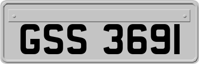 GSS3691
