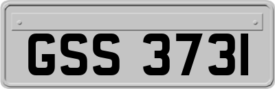GSS3731