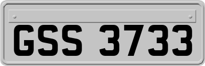 GSS3733