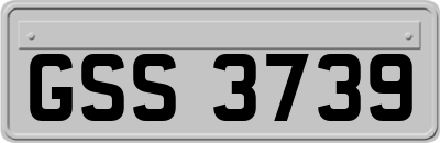 GSS3739