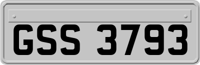 GSS3793