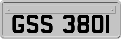 GSS3801