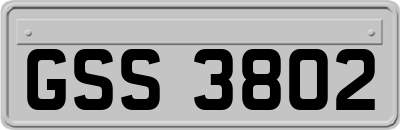 GSS3802