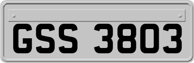 GSS3803