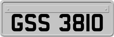 GSS3810