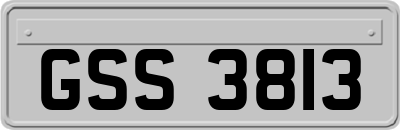 GSS3813