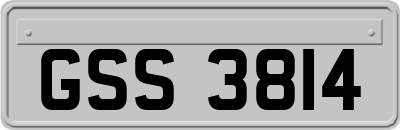 GSS3814