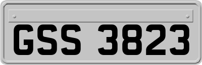 GSS3823