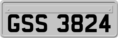 GSS3824