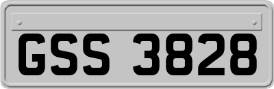 GSS3828