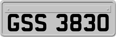GSS3830