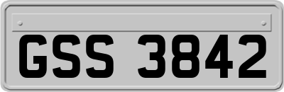 GSS3842