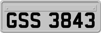 GSS3843