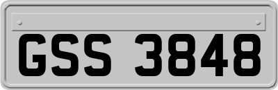 GSS3848