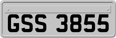 GSS3855