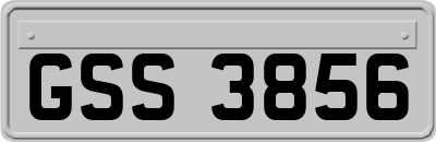 GSS3856