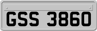GSS3860