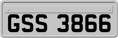 GSS3866