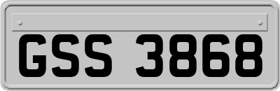 GSS3868