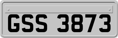 GSS3873