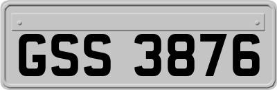 GSS3876