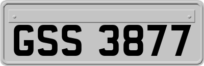 GSS3877