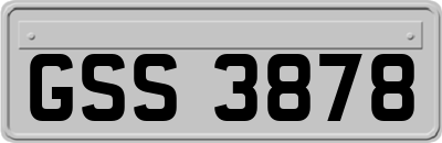 GSS3878