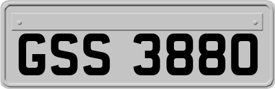 GSS3880