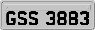 GSS3883