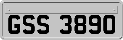 GSS3890