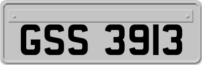 GSS3913