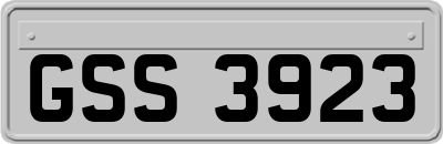 GSS3923