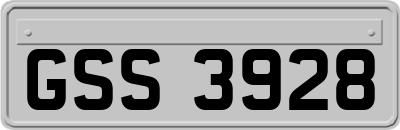 GSS3928