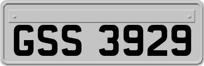 GSS3929