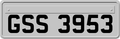 GSS3953