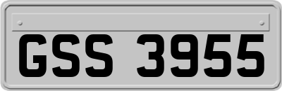 GSS3955
