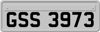 GSS3973