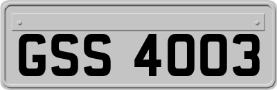 GSS4003