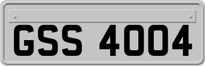 GSS4004