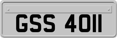 GSS4011
