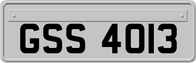 GSS4013
