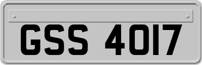 GSS4017