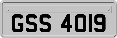 GSS4019