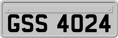 GSS4024
