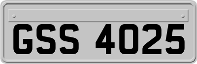 GSS4025